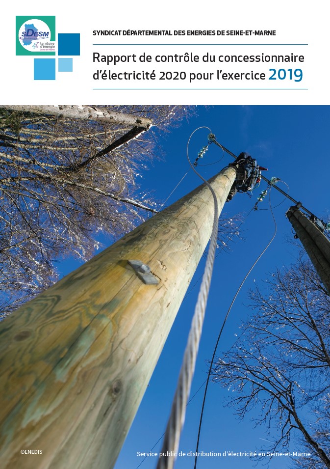 Rapport de contrôle du concessionnaire électricité 2020 pour l’exercice 2019